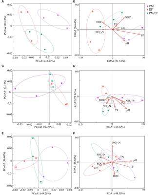 Soil phosphorus cycling microbial functional genes of monoculture and mixed plantations of native tree species in subtropical China